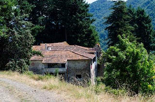 Borgo di Luogomano