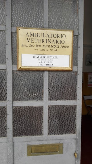 Studio VETERINARIO Dott. FABRIZIO BEVILACQUA