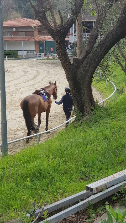 Arenzano Horse Riding Centre