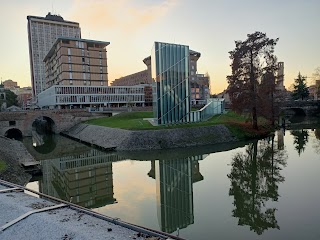 Scuola Padovana Voga Veneta