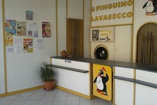 Lavanderia Il Pinguino Di Limone Loredana