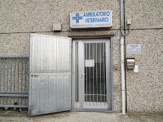 Ambulatorio Veterinario - Dott.ssa Raffaella Roda