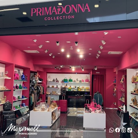 Primadonna Collection