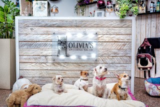 Toelettatura di Animali Olivia’s Grooming Salon Cassano Magnago