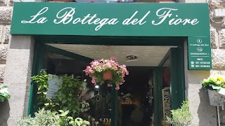 La bottega del fiore