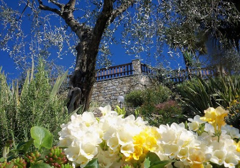 Sognando Villa Edera