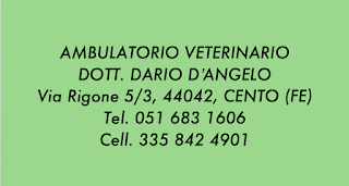 Dott. D'Angelo Dario Ambulatorio Veterinario