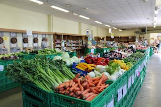 Frutta Verdura Vino Negozio Agrintesa Medicina