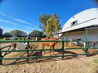 Agriturismo San Giuseppe e Circolo Ippico, Castel del Monte