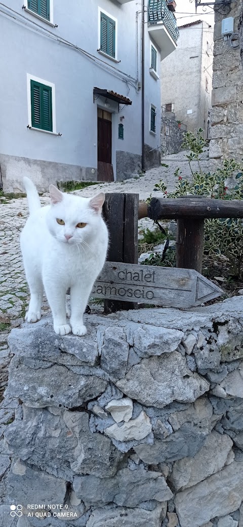 Chalet Il Camoscio