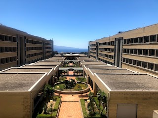 Università degli studi di Messina - Dipartimento di Scienze Veterinarie