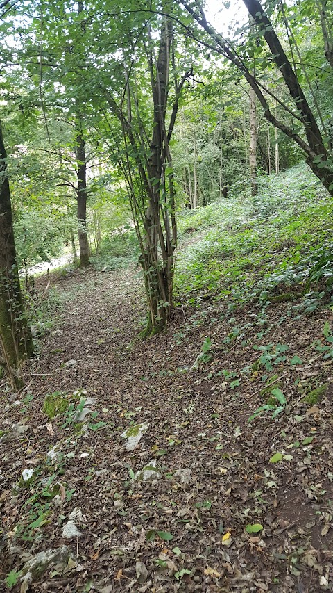 Via Paline Vestone (Percorso Vita)