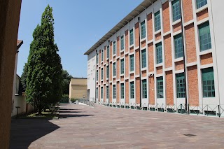 LIUC Business School