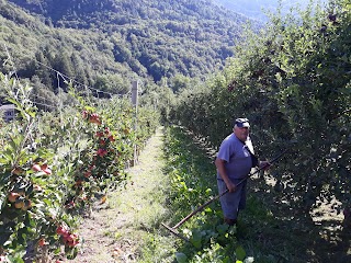 Società Agricola Melavì