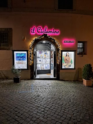 Il Ciclamino