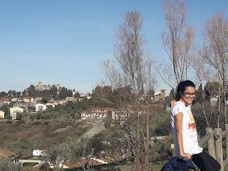 Immersi nella campagna Toscana