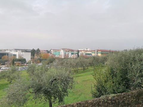 Azienda Ospedaliero Universitaria Careggi