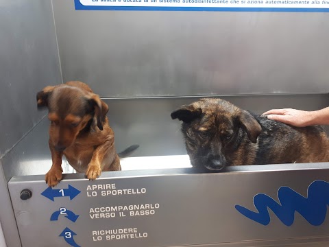 Wash Dog Cremona - Lavaggio cani self service