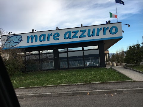 Mare Azzurro - pesce surgelato di qualita'