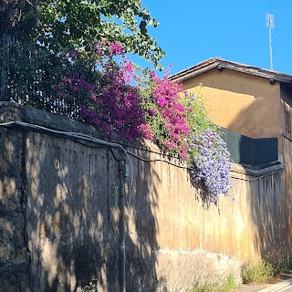 Scuola Primaria Francesco Mengotti