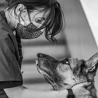 Ospedale Veterinario Croce Azzurra