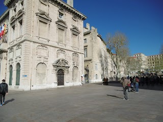 Ambulatorio Medico Veterinario "Vallebruna" Dir. San. Dott. Davide Andrea Andriolo