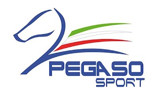 Pegaso Sport Equipment System Srl