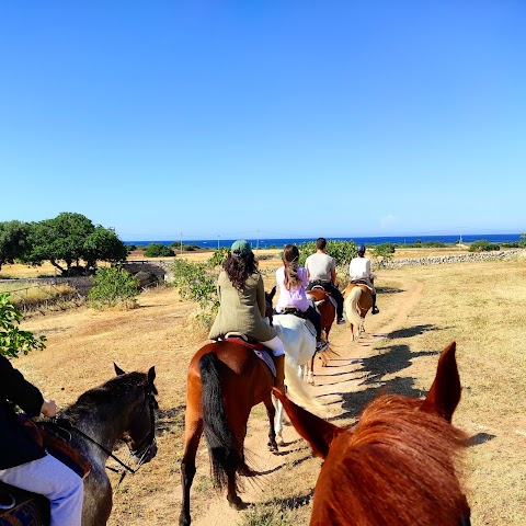 Centro Equestre Parco di Mare SSD a R. L.