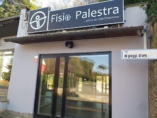 Fisio Palestra Velletri