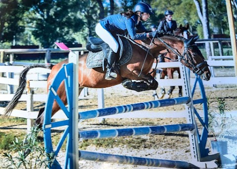 Centro Equestre Barone - Scuola di Equitazione per adulti e bambini