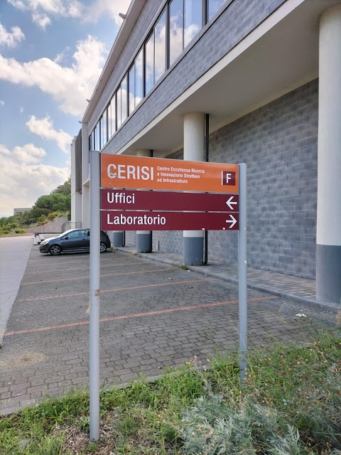 C.E.R.I.S.I. (Centro di Eccellenza, Ricerca, Innovazione, Strutture e Infrastrutture di Grandi Dimensioni)