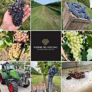 Podere Del Vescovo Azienda Agricola