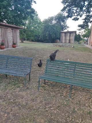 fattoria didattica Ca' di Simone