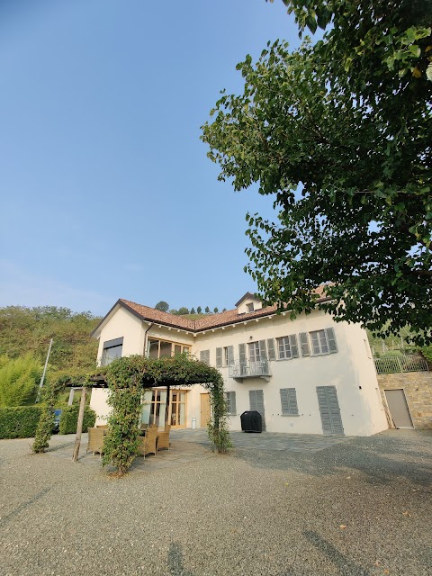 The house in the vineyard