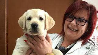 AMBULATORIO VETERINARIO Lovagnini Dr. Roberta