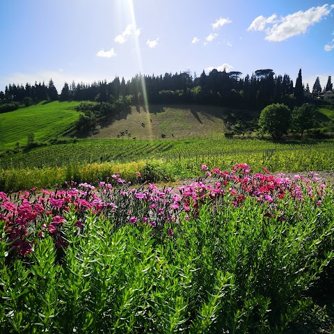 i Colli di Marliano