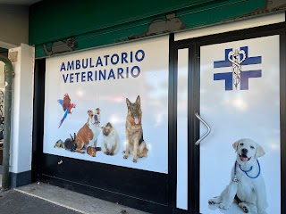 Ambulatorio Veterinario Associato Dott. Pinelli Dott. Faralli