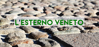 L'Esterno Veneto S.p.a.