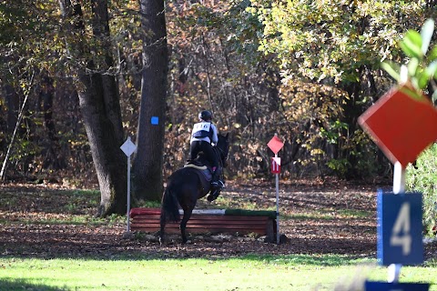 Riding Club di Casorate Percorsi A Cavallo Asd