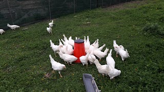 FATTORIA "IL PARROCO"