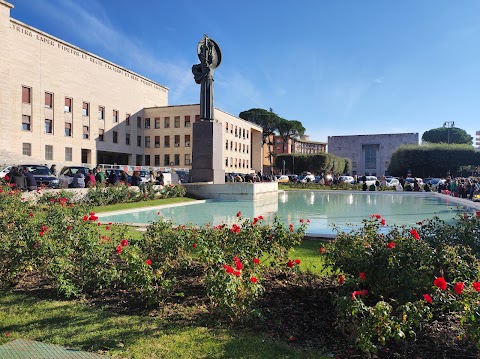 Sapienza Università di Roma