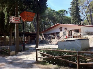 Ristorante Pizzeria Il Tronco