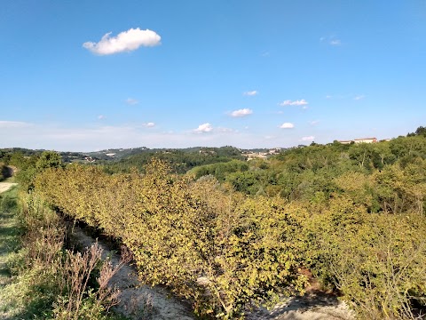 Ca'Mariuccia Agriturismo biologico