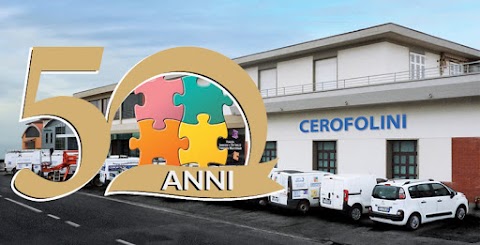 Cerofolini Srl