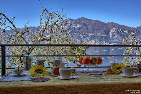 Agriturismo Gardasee Uliveta