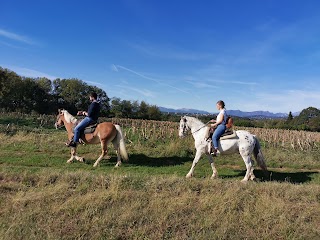 Passeggiate Cavallo Ranch Arcore