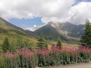 Fattoria Pian dell'Alpe