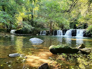 Agriturismo Il Casale sul fiume Treja