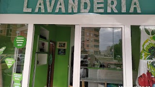 LAVANDERIA 6 ZAMPE