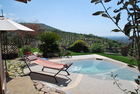 Bed & Breakfast di charme con piscina panoramica,vicino Roma e Castelli Romani